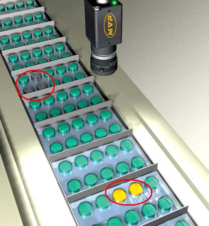 Blister Inspection System