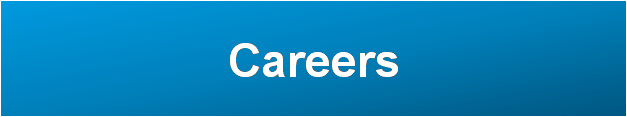 Career
