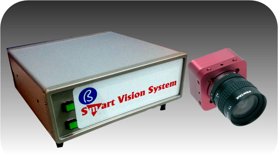 Smart Vision System
